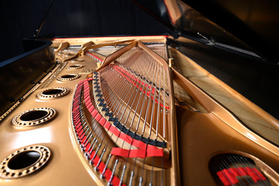 Steinway & Sons D Concert Grand Piano