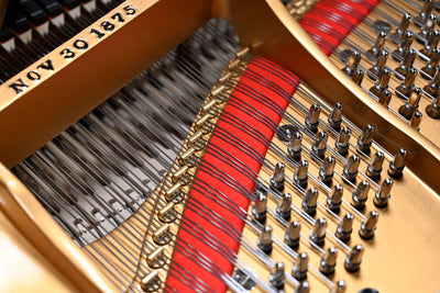 Steinway & Sons D Concert Grand Piano