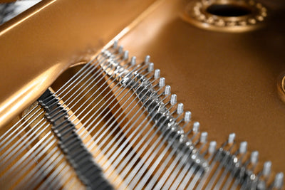 Steinway & Sons D Concert Grand Piano