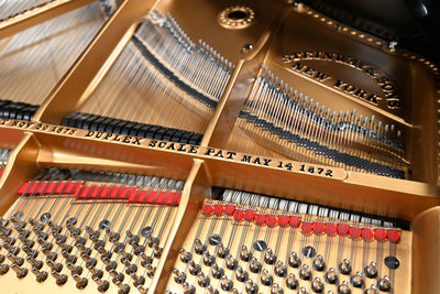 Steinway & Sons D Concert Grand Piano