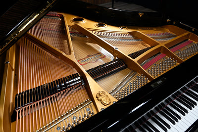 Schafer & Sons SS-58 Parlor Grand Piano