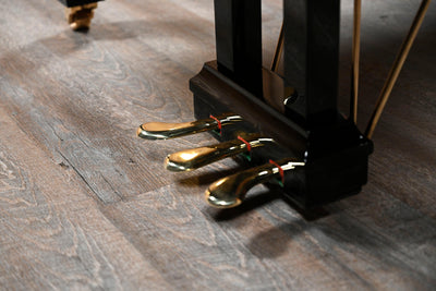 Schafer & Sons SS-58 Parlor Grand Piano