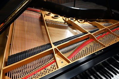 Steinway & Sons L Parlor Grand Piano
