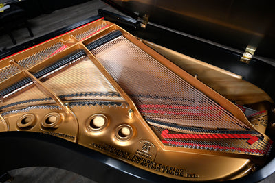 Steinway & Sons L Parlor Grand Piano