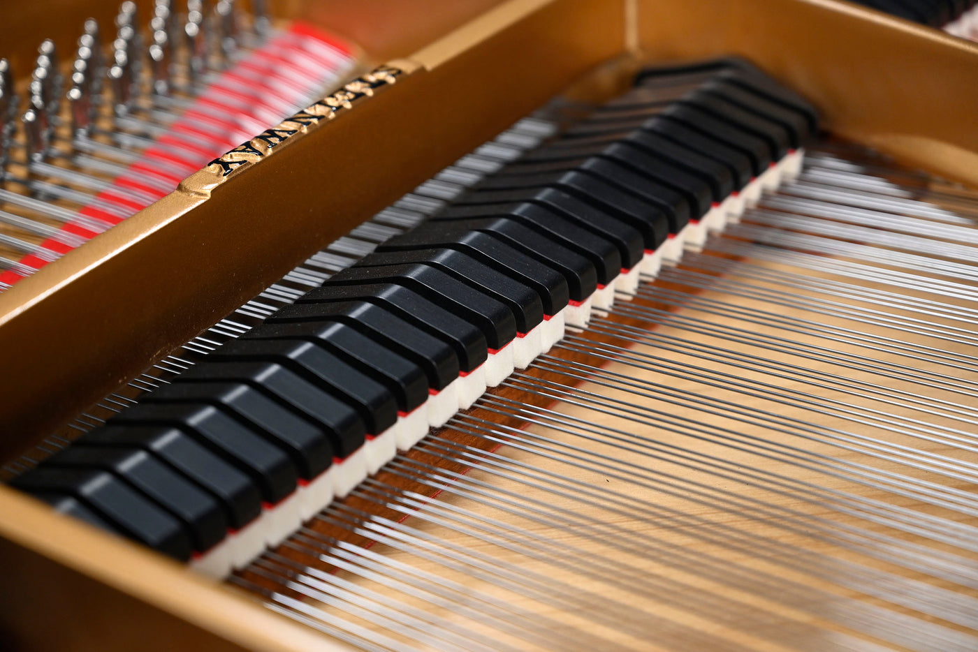 Steinway & Sons L Parlor Grand Piano