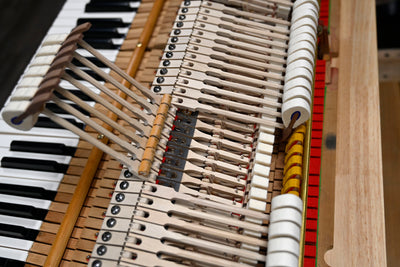 Steinway & Sons L Parlor Grand Piano