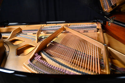 Falcone GF-62 Baby Grand Piano