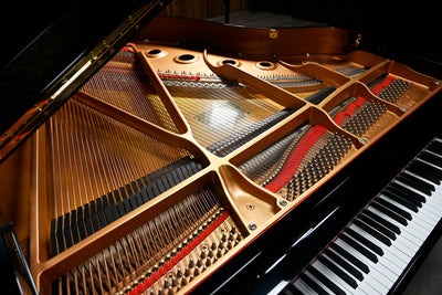 Yamaha DGC1 Baby Grand Player Piano