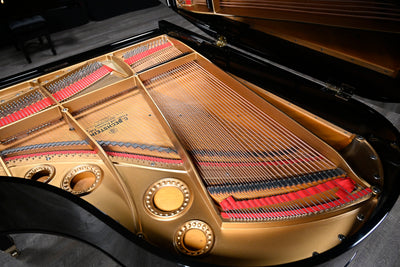 Bechstein L Parlor Grand Piano
