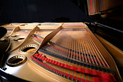 Bechstein L Parlor Grand Piano