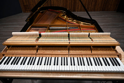Bechstein L Parlor Grand Piano