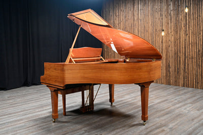 Bluthner Mod. 11 Baby Grand Piano
