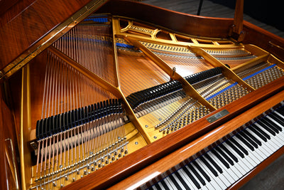 Bluthner Mod. 11 Baby Grand Piano