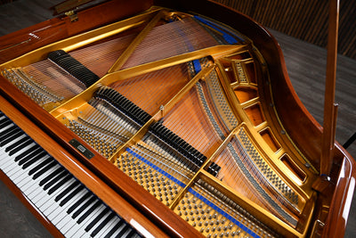 Bluthner Mod. 11 Baby Grand Piano