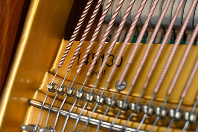 Bluthner Mod. 11 Baby Grand Piano