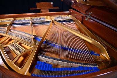 Bluthner Mod. 11 Baby Grand Piano