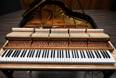 Mason & Hamlin BB Semi-Concert Grand Player Piano