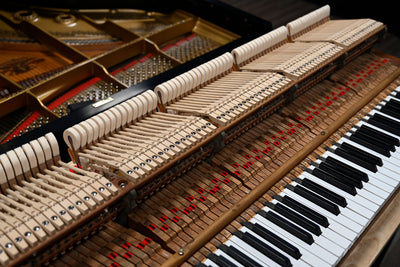 Mason & Hamlin BB Semi-Concert Grand Player Piano