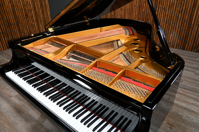 Young Chang G-175 Parlor Grand Piano