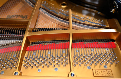 Young Chang G-175 Parlor Grand Piano