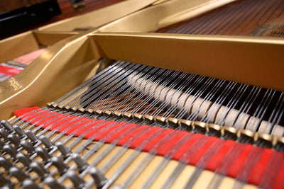 Yamaha C7 Semi-Concert Grand Piano