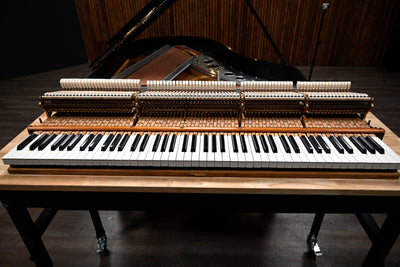 Steinway & Sons O Parlor Grand Piano