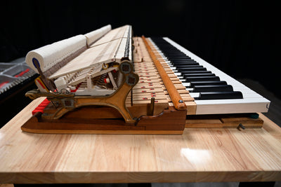 Steinway & Sons O Parlor Grand Piano