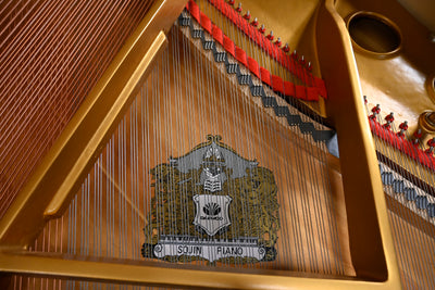 Sojin DG1 Baby Grand Piano