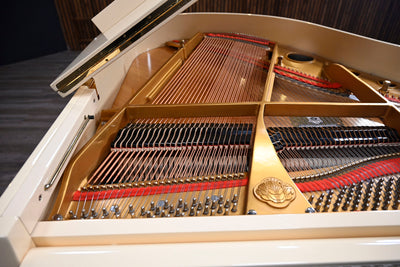 Sojin DG1 Baby Grand Piano