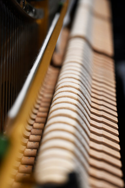 Yamaha U3 Upright Piano