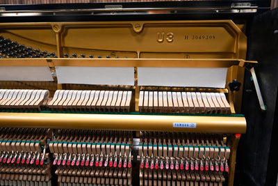 Yamaha U3 Upright Piano