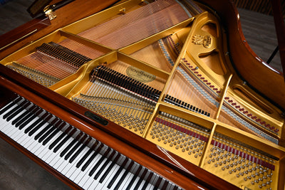 Schimmel 174 Parlor Grand Piano