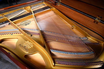 Schimmel 174 Parlor Grand Piano