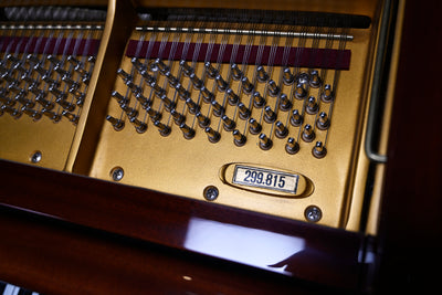 Schimmel 174 Parlor Grand Piano