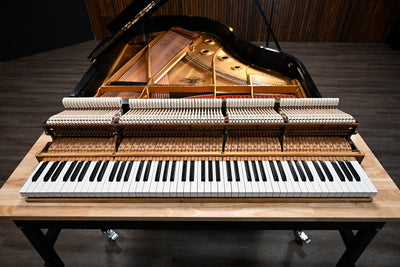 Mason & Hamlin AA Parlor Grand Piano