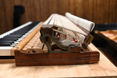 Mason & Hamlin AA Parlor Grand Piano