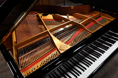 Sojin DG-1 Baby Grand Piano