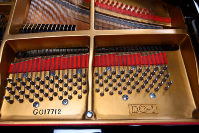Sojin DG-1 Baby Grand Piano