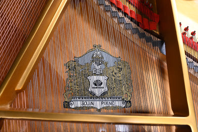 Sojin DG-1 Baby Grand Piano