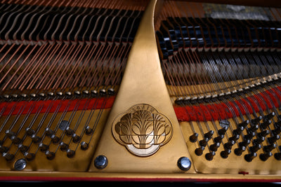 Sojin DG-1 Baby Grand Piano