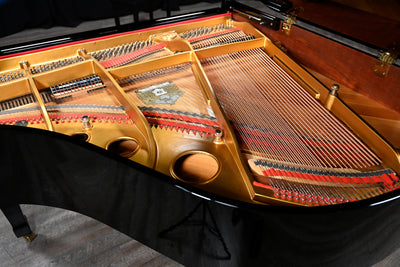 Sojin DG-1 Baby Grand Piano