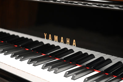 Yamaha C2 Parlor Grand Piano Disklavier Player