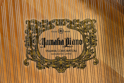 Yamaha C2 Parlor Grand Piano Disklavier Player