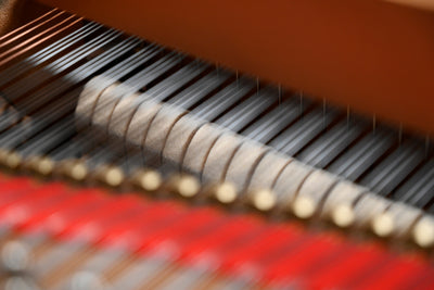 Yamaha C2 Parlor Grand Piano Disklavier Player