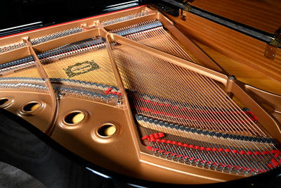 Yamaha C2 Parlor Grand Piano Disklavier Player