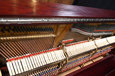 Steinway & Sons Vertegrand Upright Piano