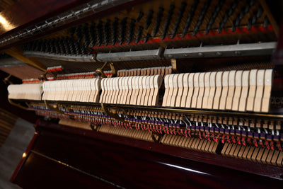 Steinway & Sons Vertegrand Upright Piano
