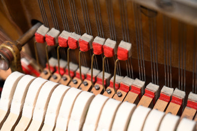 Steinway & Sons Vertegrand Upright Piano
