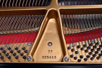 Baldwin M Baby Grand Piano