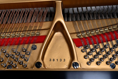 Mason & Hamlin T Baby Grand Piano